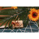 Ella fleurs des îles