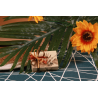Ella fleurs des îles