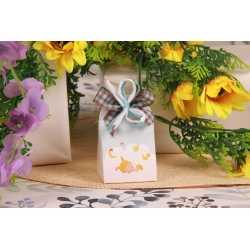 Boite iris bebe nuage