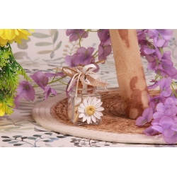 Marguerite sur pot en verre carré