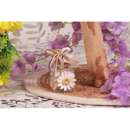 Marguerite sur pot en verre carré