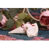 Duo de rose sur cornet écru