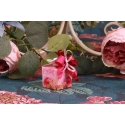 Candy rose et dorure