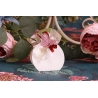 Papillon rose sur Louna blanche