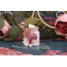 Papillon rose sur capucine