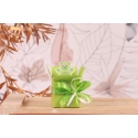 Colis ourson vert