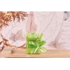 Colis ourson vert