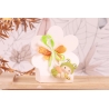 Bébé grenouille sur boite fleur