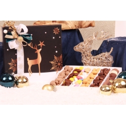 Coffret T10 COMETE