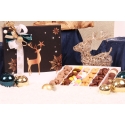 Coffret T10 COMETE