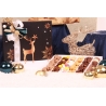 Coffret T10 COMETE