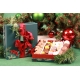 Coffret WINTER BLOOMS T5