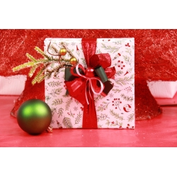 Coffret WINTER WIND T5