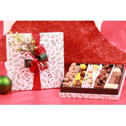 Coffret WINTER WIND T7
