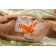 Papillon orange sur tulle - Boîtes à dragées - Dragées Braquier