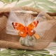 Papillon orange sur tulle - Boîtes à dragées - Dragées Braquier