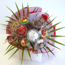 Bouquet N°11 - 2 Feuilles - Dragées Braquier, confiseur chocolatier à Verdun
