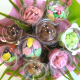 Bouquet N°12 Bicolore - Dragées Braquier, confiseur chocolatier à Verdun