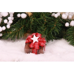 Étoile de Noël blanche - Boîtes à dragées - Dragées Braquier