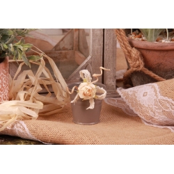 Fleur écrue sur seau gris - Boîtes à dragées - Dragées Braquier