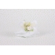 Piquet rose sur tulle blanc - Boîtes à dragées - Dragées Braquier