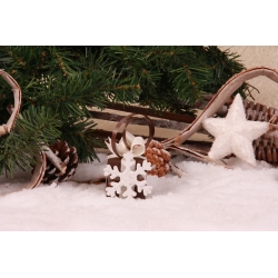 Flocon sur cube duo chocolat