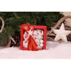 Etoile blanche nina GM rouge