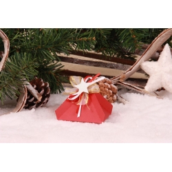 Etoile blanche florette rouge