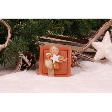 Etoile de Noël blanche