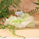 Koala sur tulle