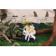 Bouquet fleur blanche sur pochon bleu