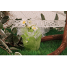 Tulipe givrée verte