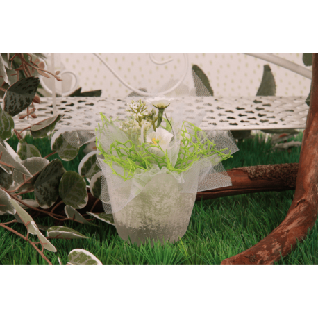 Tulipe givrée blanche