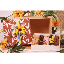 Coffret Terre du sud T7