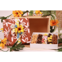 Coffret Terre du sud T7