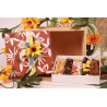 Coffret Terre du sud T7