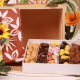 Coffret Terre du sud T7